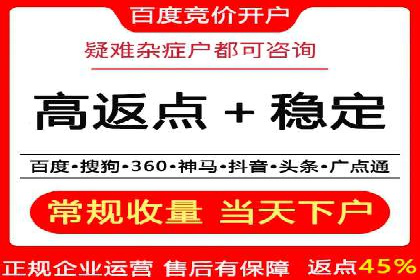 探索百度广告竞价的奥秘：某行业领先企业的投放经验